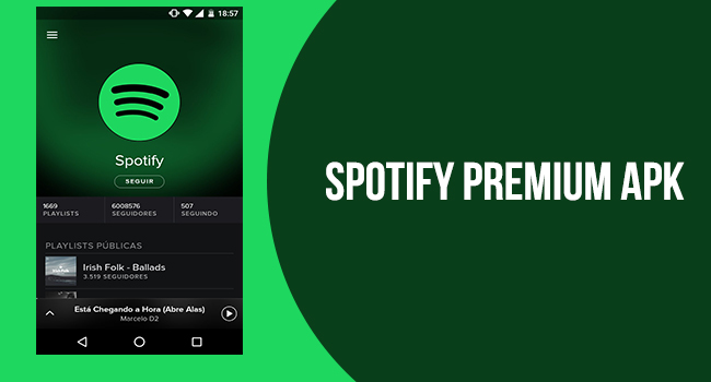 Spotify Premium Offline Hack Apk